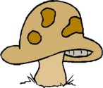 Magic Mushroom