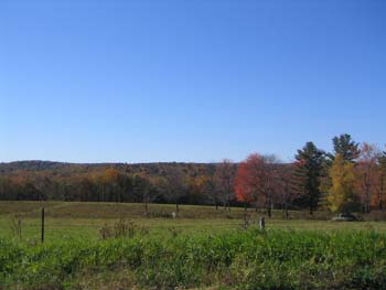 FallFoliage2008