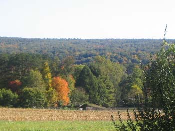 FallFoliage2008