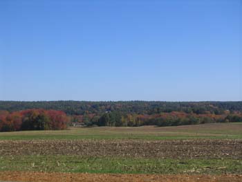 FallFoliage2008