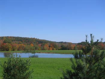 FallFoliage2008