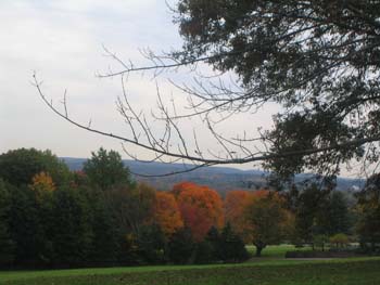 FallFoliage2008