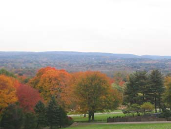 FallFoliage2008