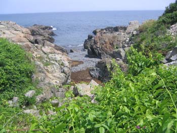 maine2005