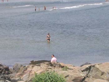 maine2005
