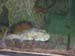 IMG_3496